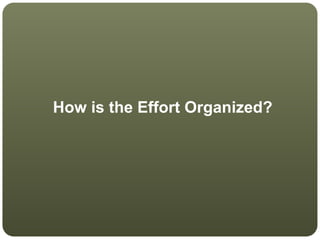 How is the Effort Organized?
 