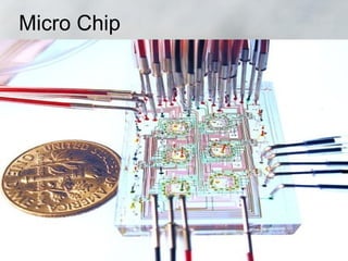 Micro Chip
 