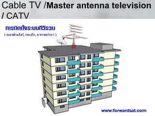 Cable TV /Master antenna television
/ CATV
 
