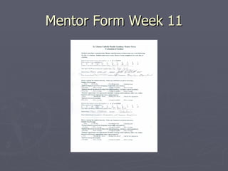 Mentor Form Week 11 