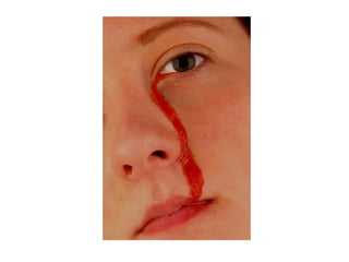 Electronic portfolio