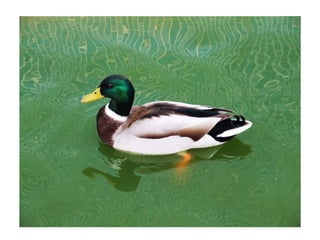 Electronic portfolio- Emma Weeks