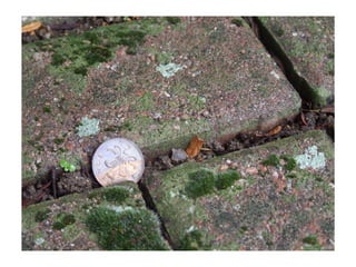 Electronic portfolio- Emma Weeks