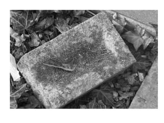 Electronic Portfolio Unit 2