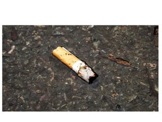 Electronic Portfolio Unit 2