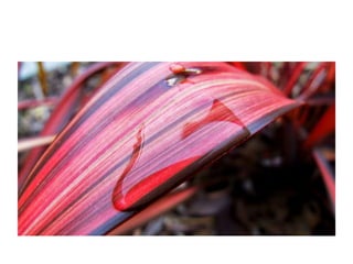 Electronic Portfolio Unit 2