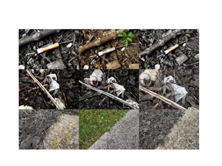 Electronic Portfolio Unit 2