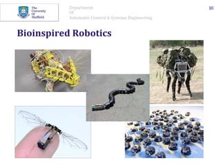Department
Of
Automatic Control & Systems Engineering.
Bioinspired	Robotics	
16
 