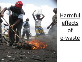 Harmful
effects
of
e-waste
 
