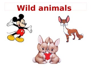 Wild animals
 