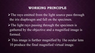 ELECTRON MICROSCOPE-1.pptx