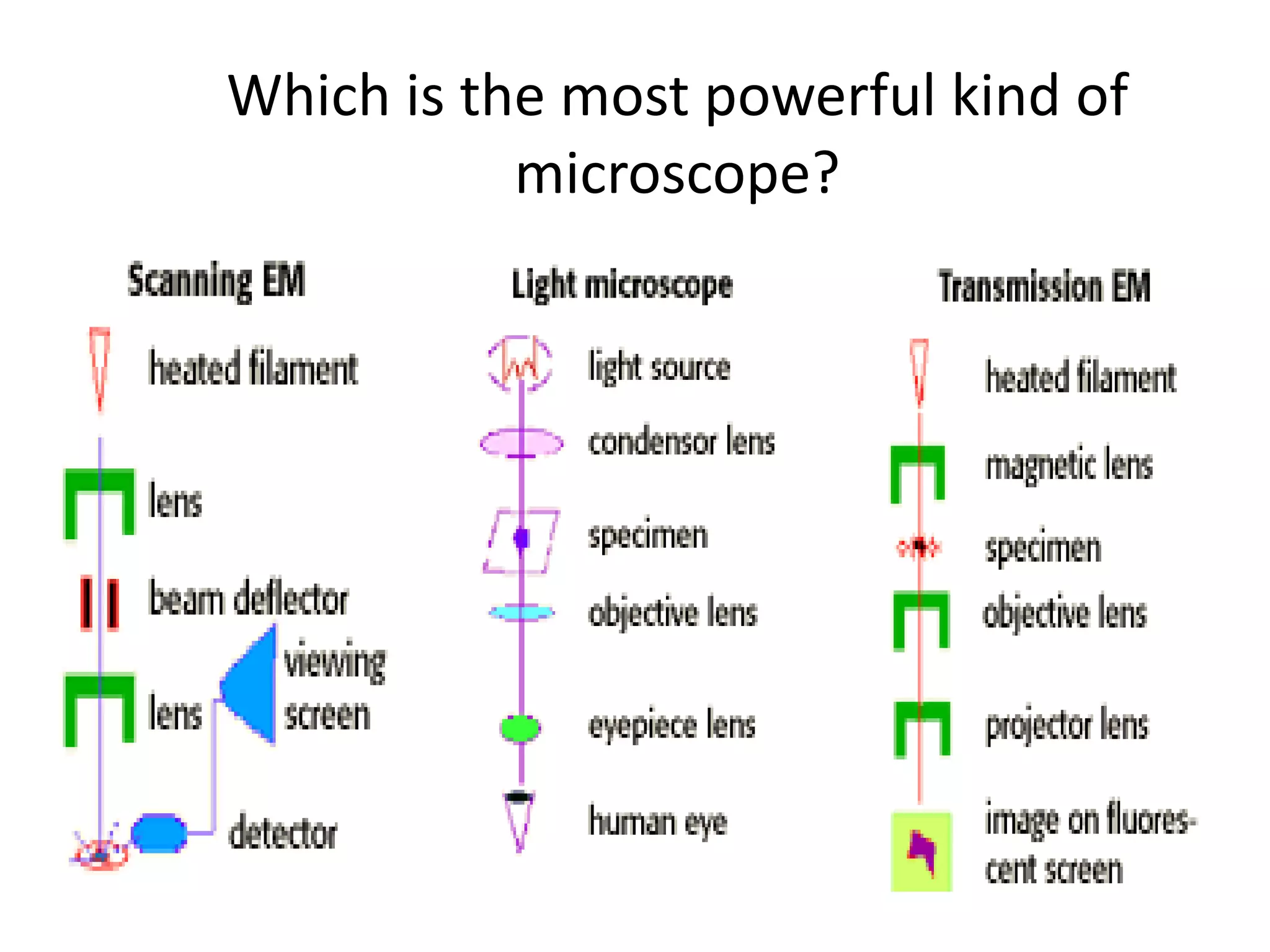 Which is the most powerful kind of microscope? 