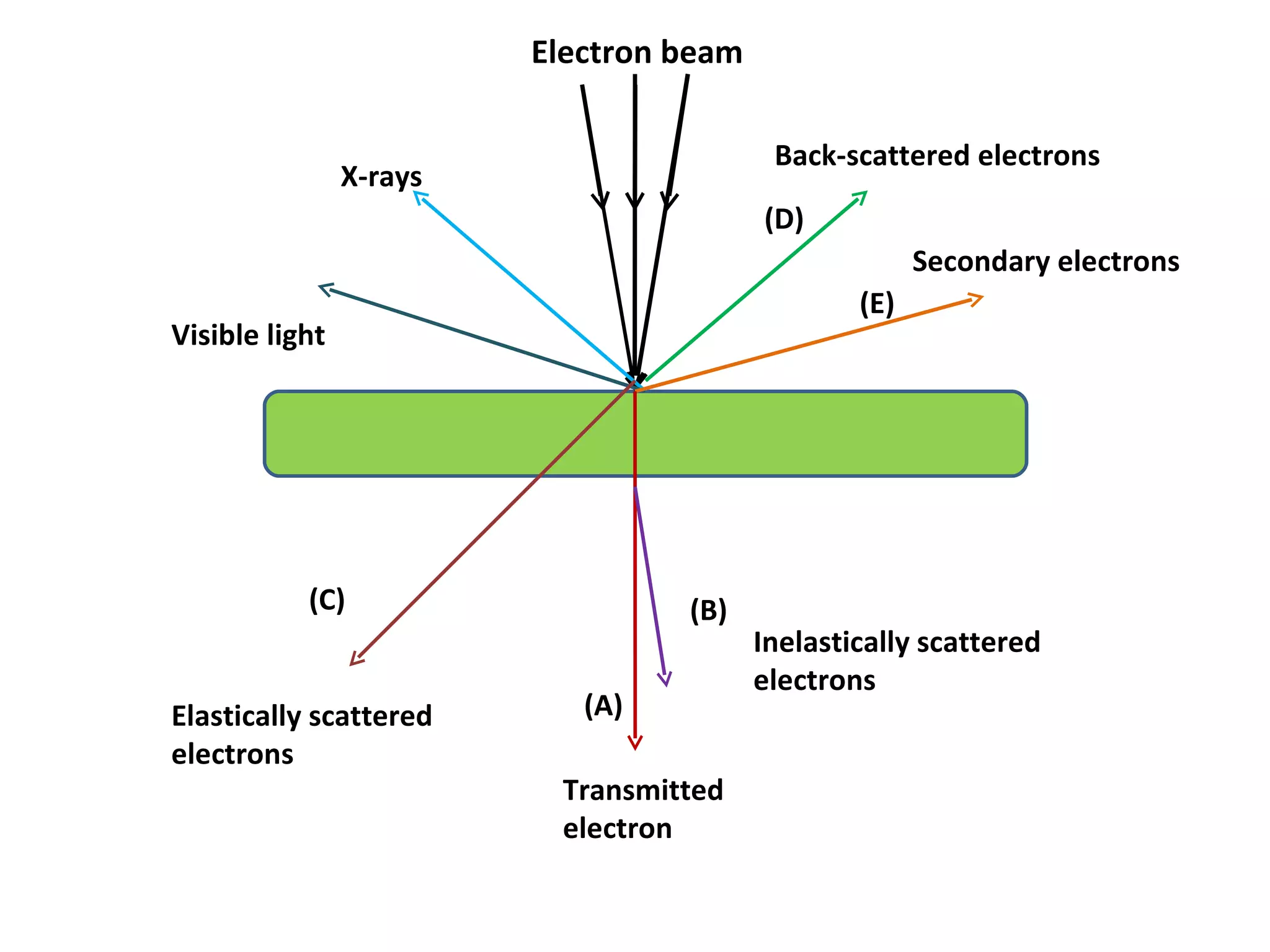 Electron beam (A) Transmitted electron (B) Inelastically scattered electrons (C) Elastically scattered electrons (D) Back-scattered electrons (E) Secondary electrons X-rays Visible light 