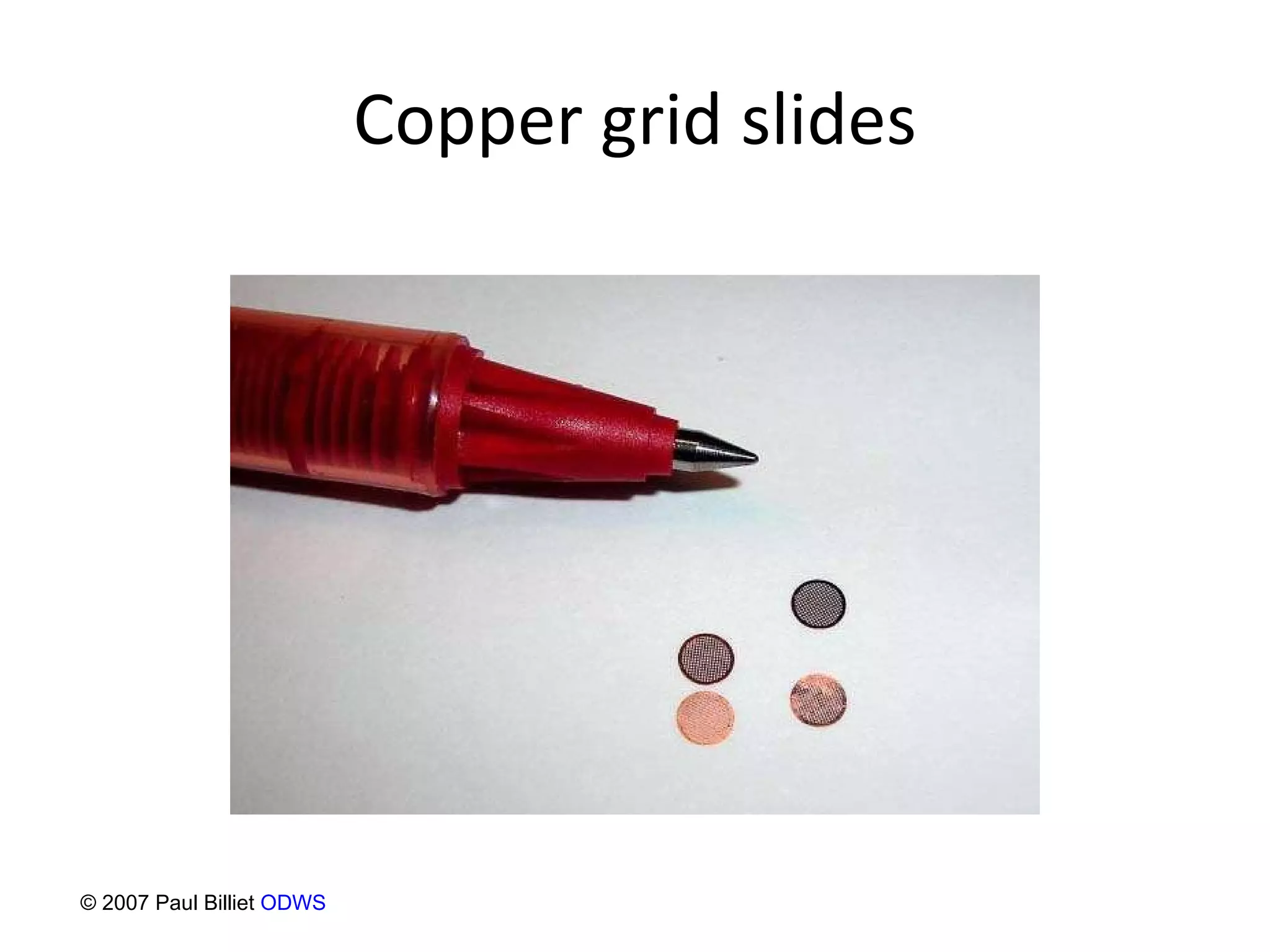 Copper grid slides © 2007 Paul Billiet  ODWS 
