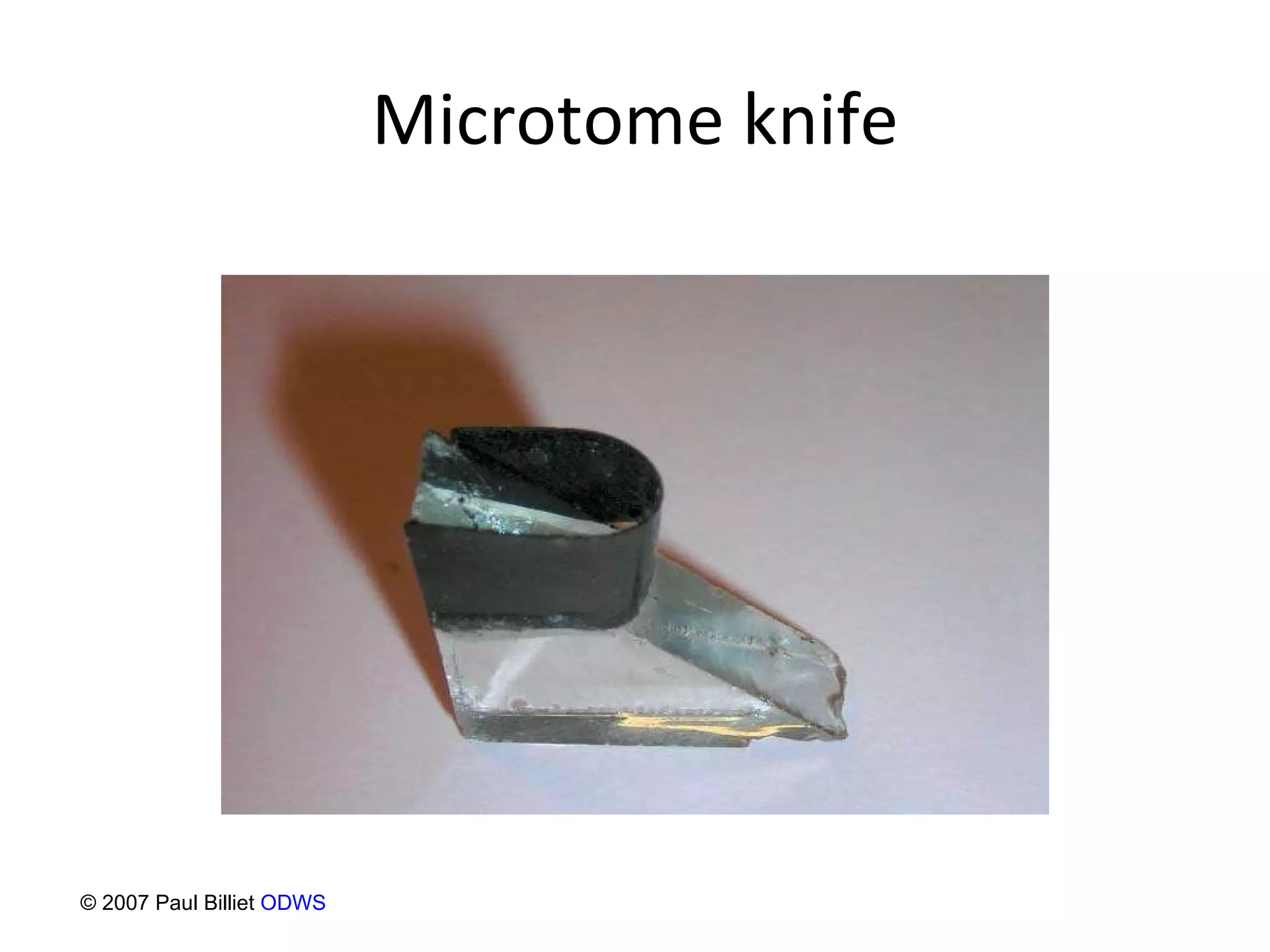 Microtome knife © 2007 Paul Billiet  ODWS 