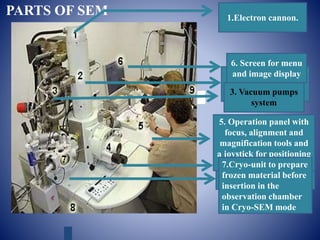 Electron microscope | PPTX