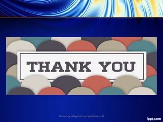 University of Agriculture Faisalabad – uaf
 