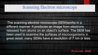 Electron microscope - SEM and TEM | PPTX