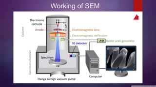 Electron microscope - SEM and TEM | PPTX