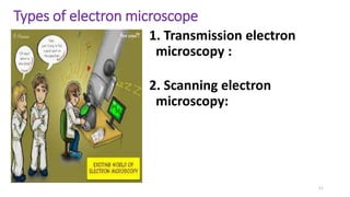 Types of electron microscope
1. Transmission electron
microscopy :
2. Scanning electron
microscopy:
11
 