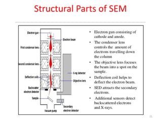 Structural Parts of SEM
21
 