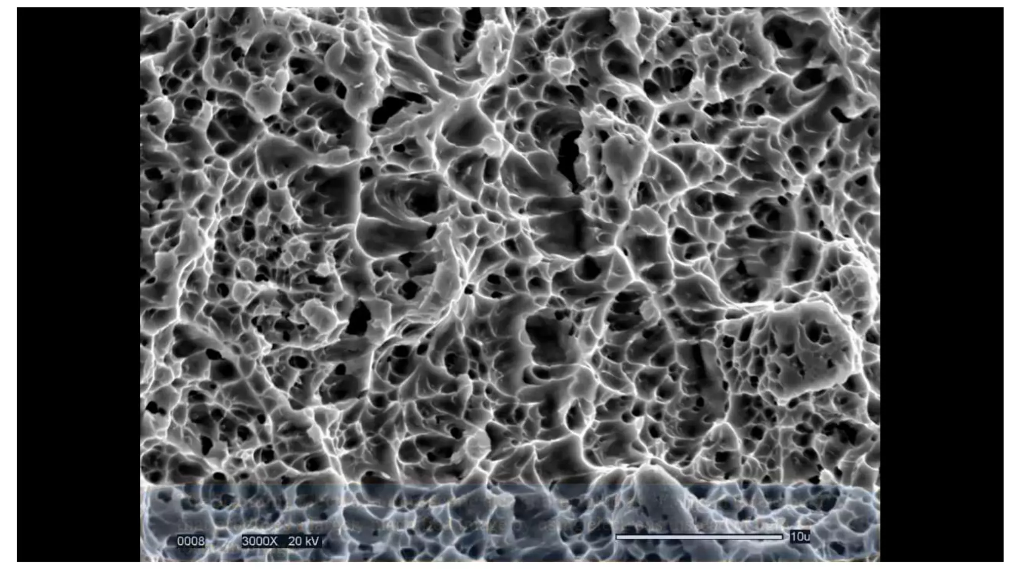 Electron microscope (SEM and TEM) | PPTX