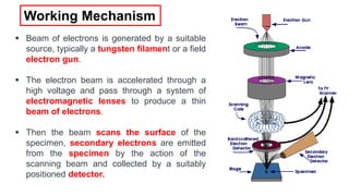  Beam of electrons is generated by a suitable
source, typically a tungsten filament or a field
electron gun.
 The electron beam is accelerated through a
high voltage and pass through a system of
electromagnetic lenses to produce a thin
beam of electrons.
 Then the beam scans the surface of the
specimen, secondary electrons are emitted
from the specimen by the action of the
scanning beam and collected by a suitably
positioned detector.
Working Mechanism
 