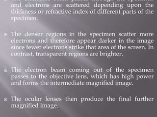  The electronic beam passes through the specimen
and electrons are scattered depending upon the
thickness or refractive index of different parts of the
specimen.
 The denser regions in the specimen scatter more
electrons and therefore appear darker in the image
since fewer electrons strike that area of the screen. In
contrast, transparent regions are brighter.
 The electron beam coming out of the specimen
passes to the objective lens, which has high power
and forms the intermediate magnified image.
 The ocular lenses then produce the final further
magnified image.
 