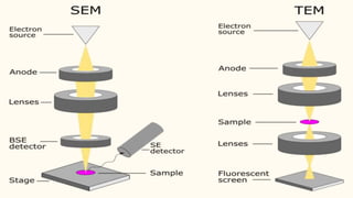 Electron Microscope .pptx