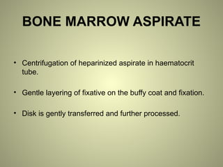 BONE MARROW ASPIRATE
• Centrifugation of heparinized aspirate in haematocrit
tube.
• Gentle layering of fixative on the buffy coat and fixation.
• Disk is gently transferred and further processed.
 