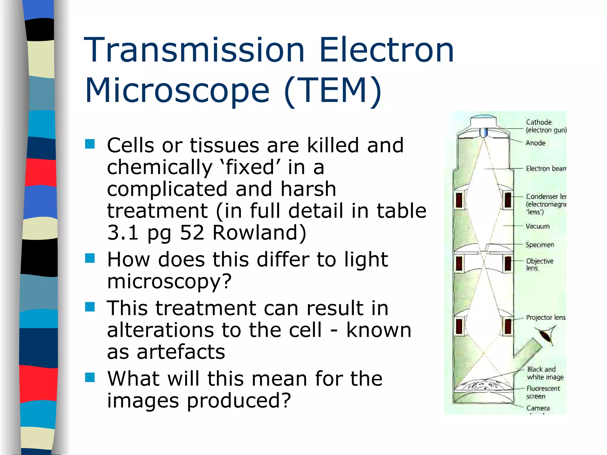 Transmission Electron Microscope (TEM) Cells or tissues are killed and chemically ‘fixed’ in a complicated and harsh treatment (in full detail in table 3.1 pg 52 Rowland) How does this differ to light microscopy? This treatment can result in alterations to the cell - known as artefacts What will this mean for the images produced?  