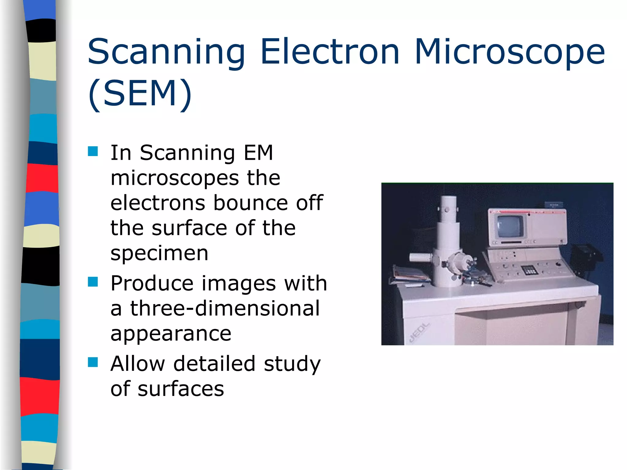 Scanning Electron Microscope (SEM) In Scanning EM microscopes the electrons bounce off the surface of the specimen Produce images with a three-dimensional appearance Allow detailed study of surfaces 