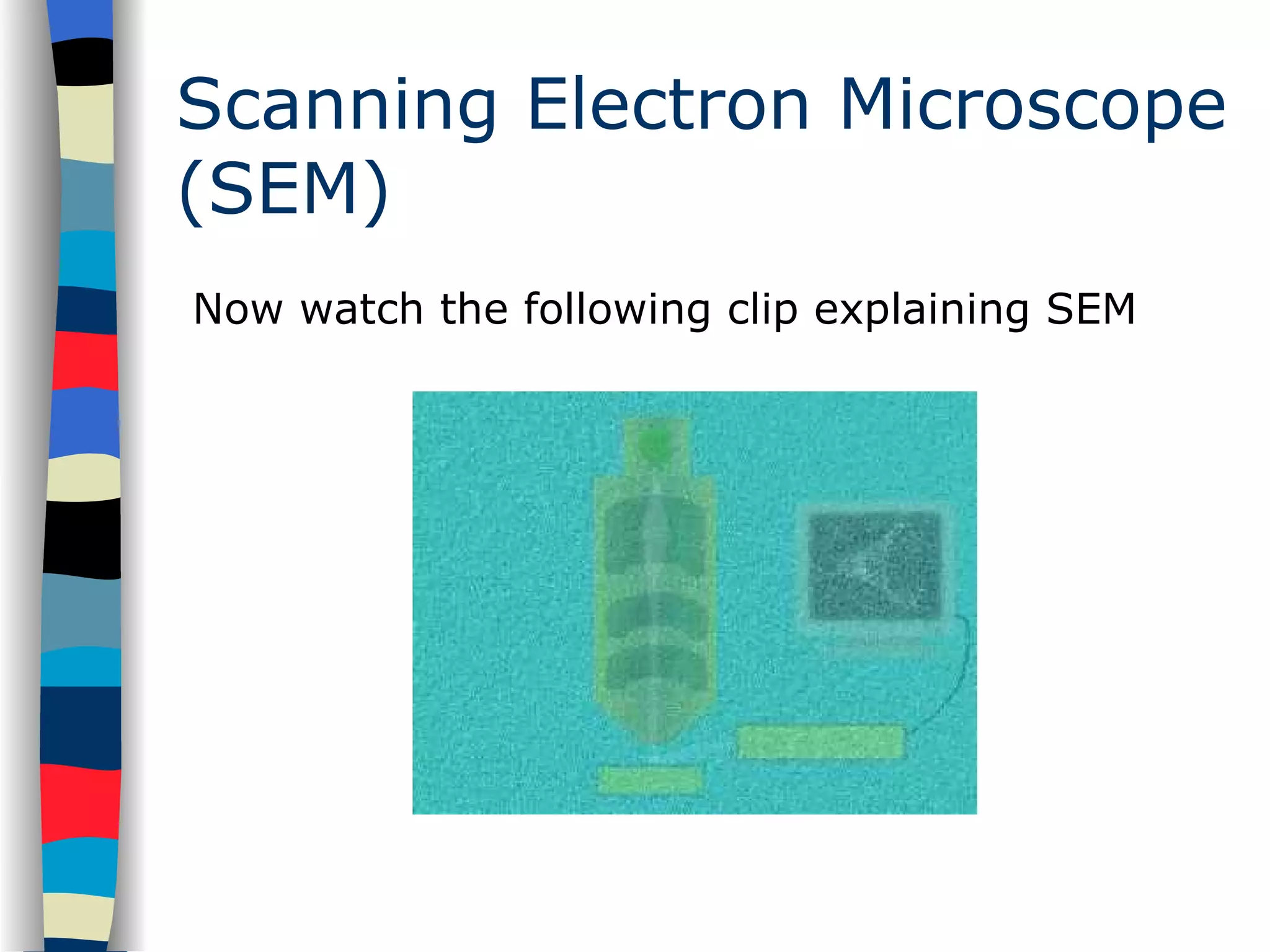 Scanning Electron Microscope (SEM) Now watch the following clip explaining SEM 