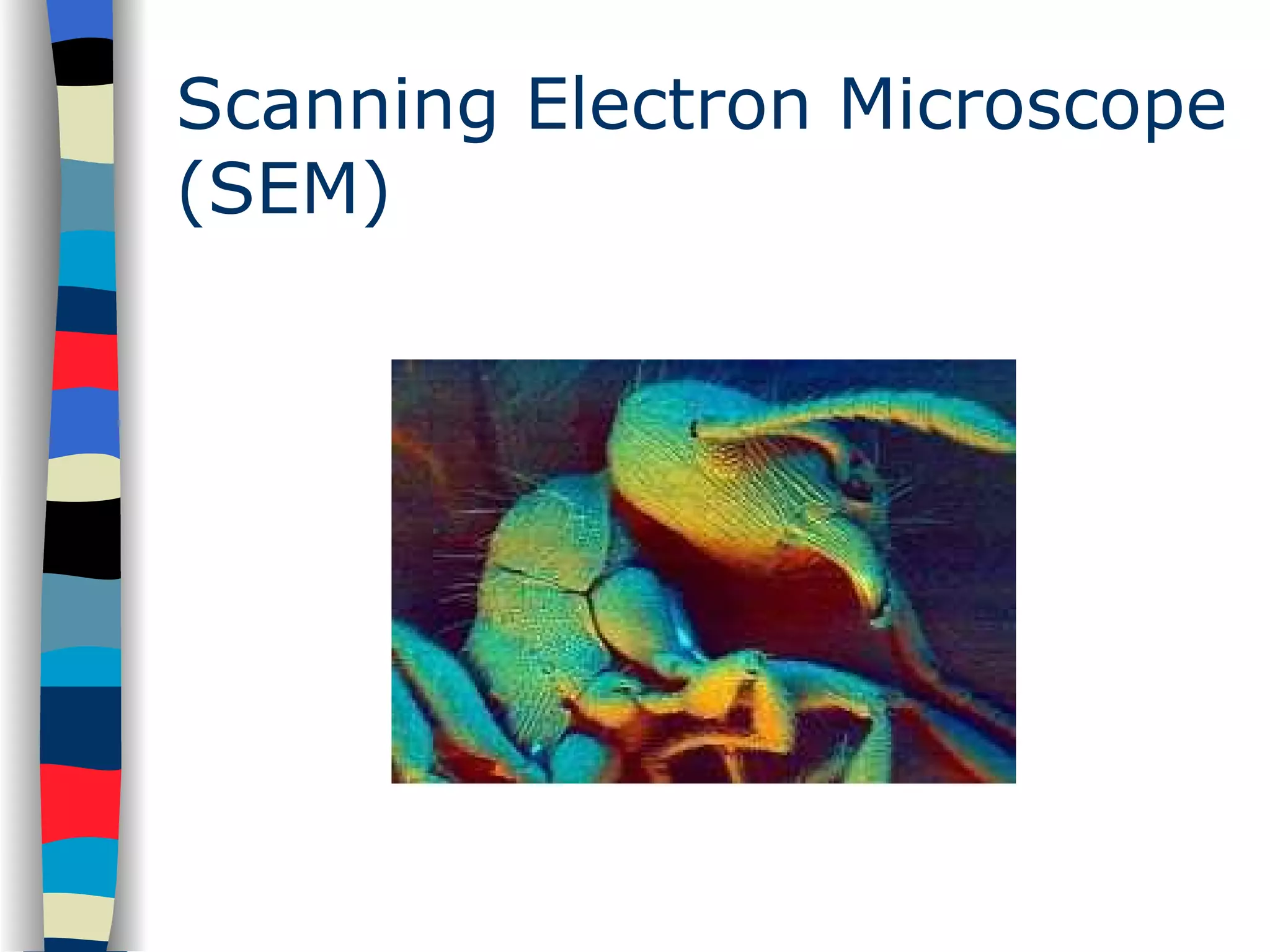 Scanning Electron Microscope (SEM) 