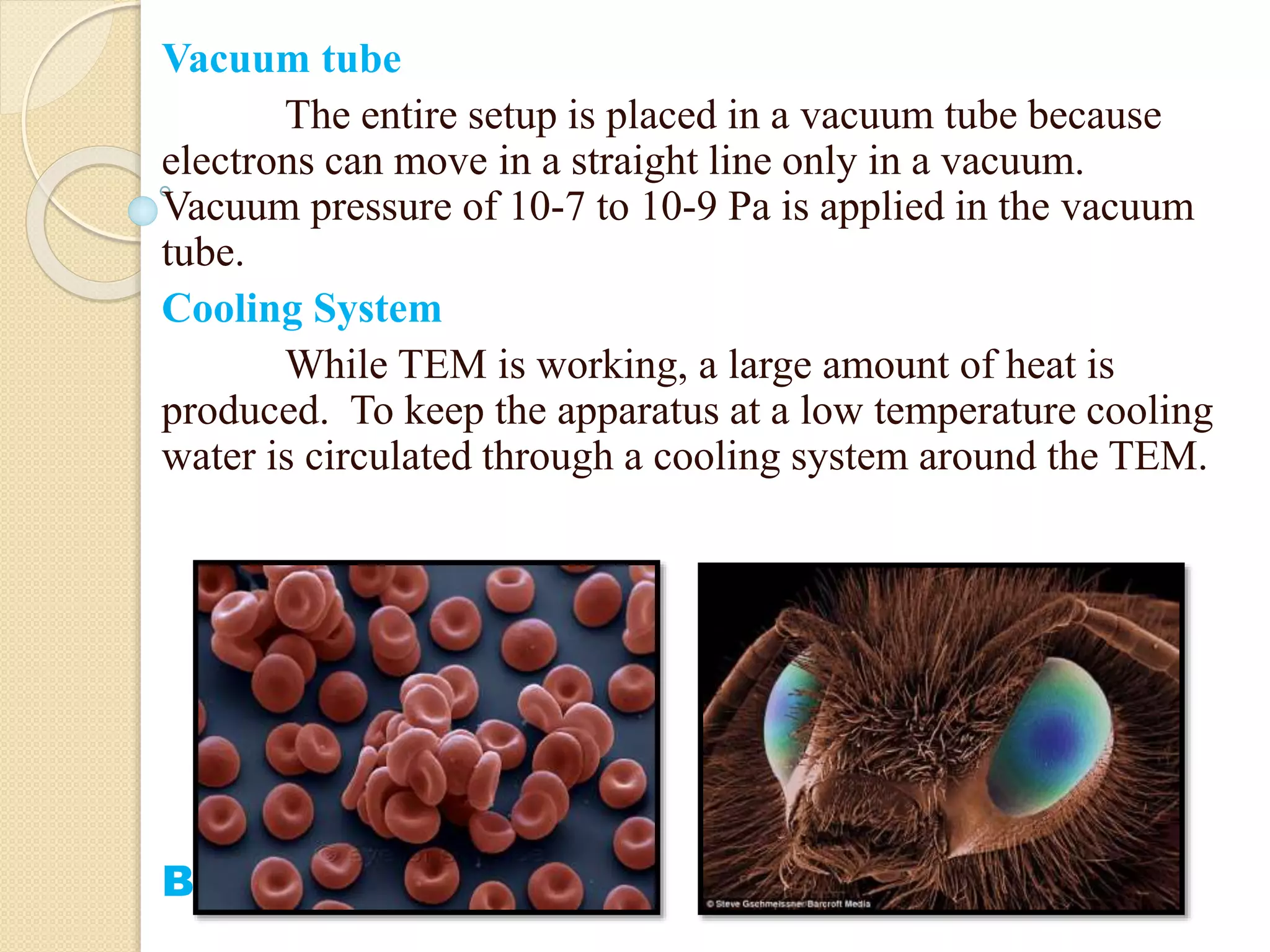 Electron microscope ppt | PPTX