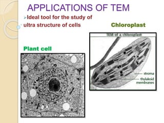 APPLICATIONS OF TEM
Ideal tool for the study of
ultra structure of cells Chloroplast
Plant cell
 