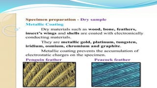 ELECTRON MICROSCOPE TYPES: SEM & TEM NOTES PPT | PPTX
