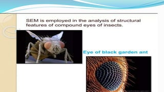 ELECTRON MICROSCOPE TYPES: SEM & TEM NOTES PPT | PPTX