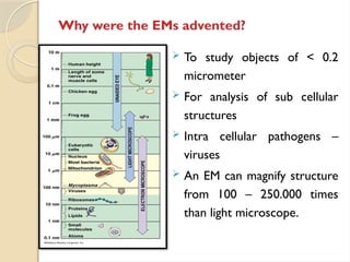 Why were the EMs advented?
 To study objects of < 0.2
micrometer
 For analysis of sub cellular
structures
 Intra cellular pathogens –
viruses
 An EM can magnify structure
from 100 – 250.000 times
than light microscope.
 