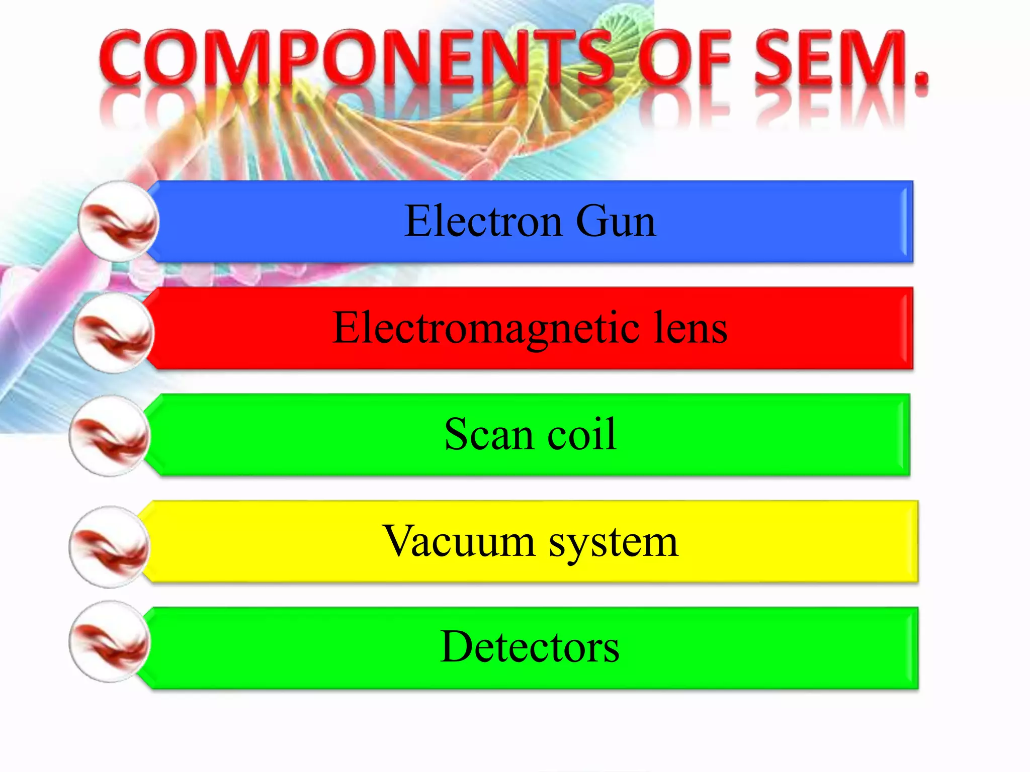 Electron Gun
Electromagnetic lens
Scan coil
Vacuum system
Detectors
 