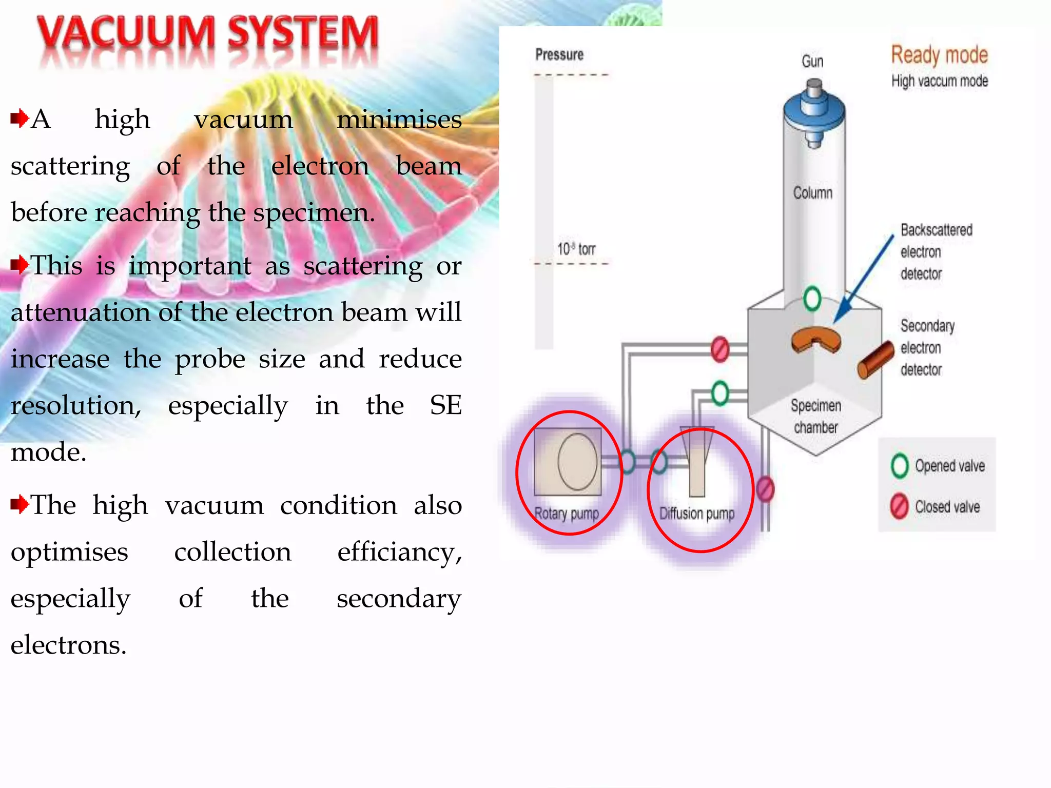 A high vacuum minimises
scattering of the electron beam
before reaching the specimen.
This is important as scattering or
attenuation of the electron beam will
increase the probe size and reduce
resolution, especially in the SE
mode.
The high vacuum condition also
optimises collection efficiancy,
especially of the secondary
electrons.
 