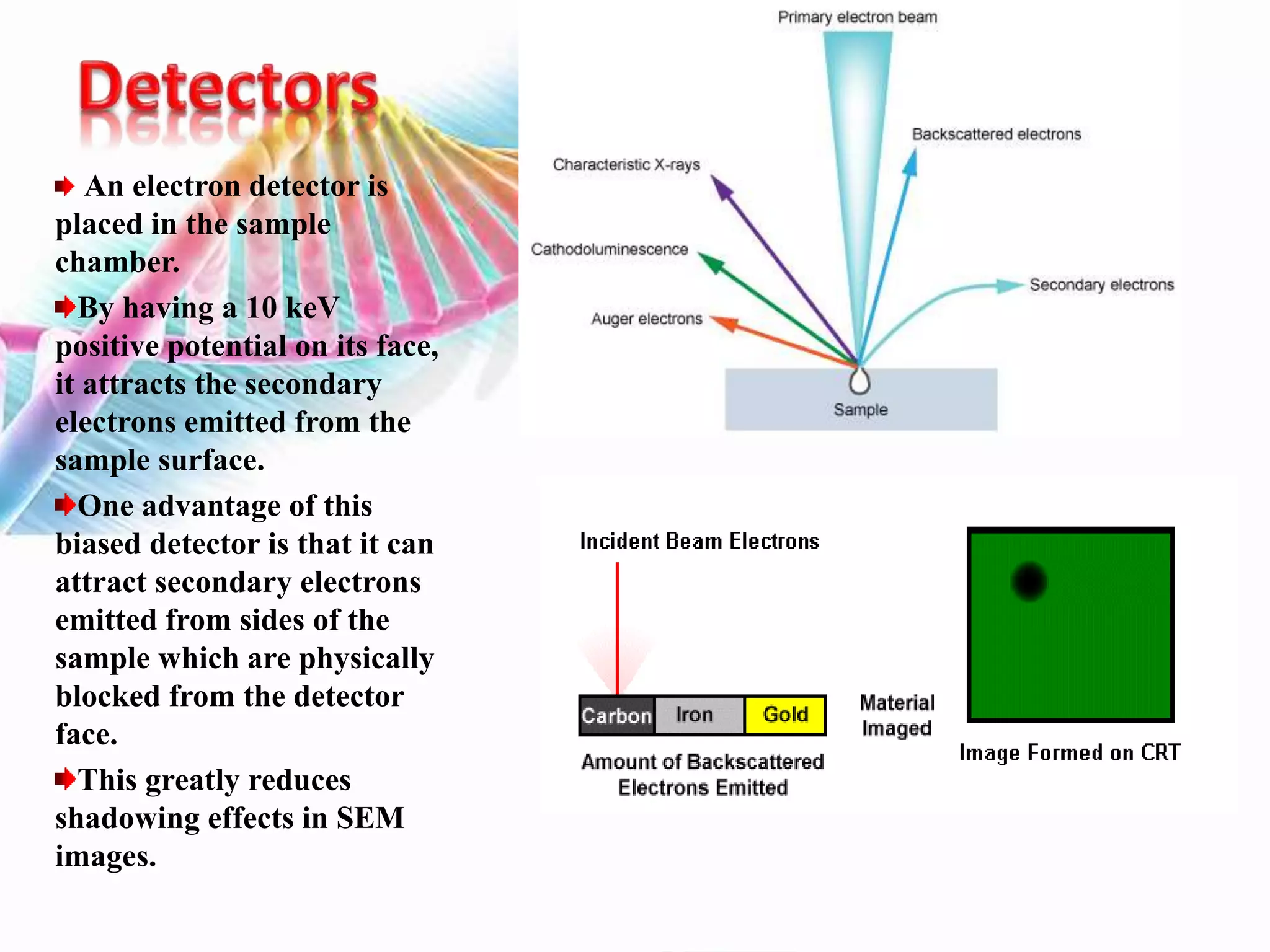 An electron detector is
placed in the sample
chamber.
By having a 10 keV
positive potential on its face,
it attracts the secondary
electrons emitted from the
sample surface.
One advantage of this
biased detector is that it can
attract secondary electrons
emitted from sides of the
sample which are physically
blocked from the detector
face.
This greatly reduces
shadowing effects in SEM
images.
 