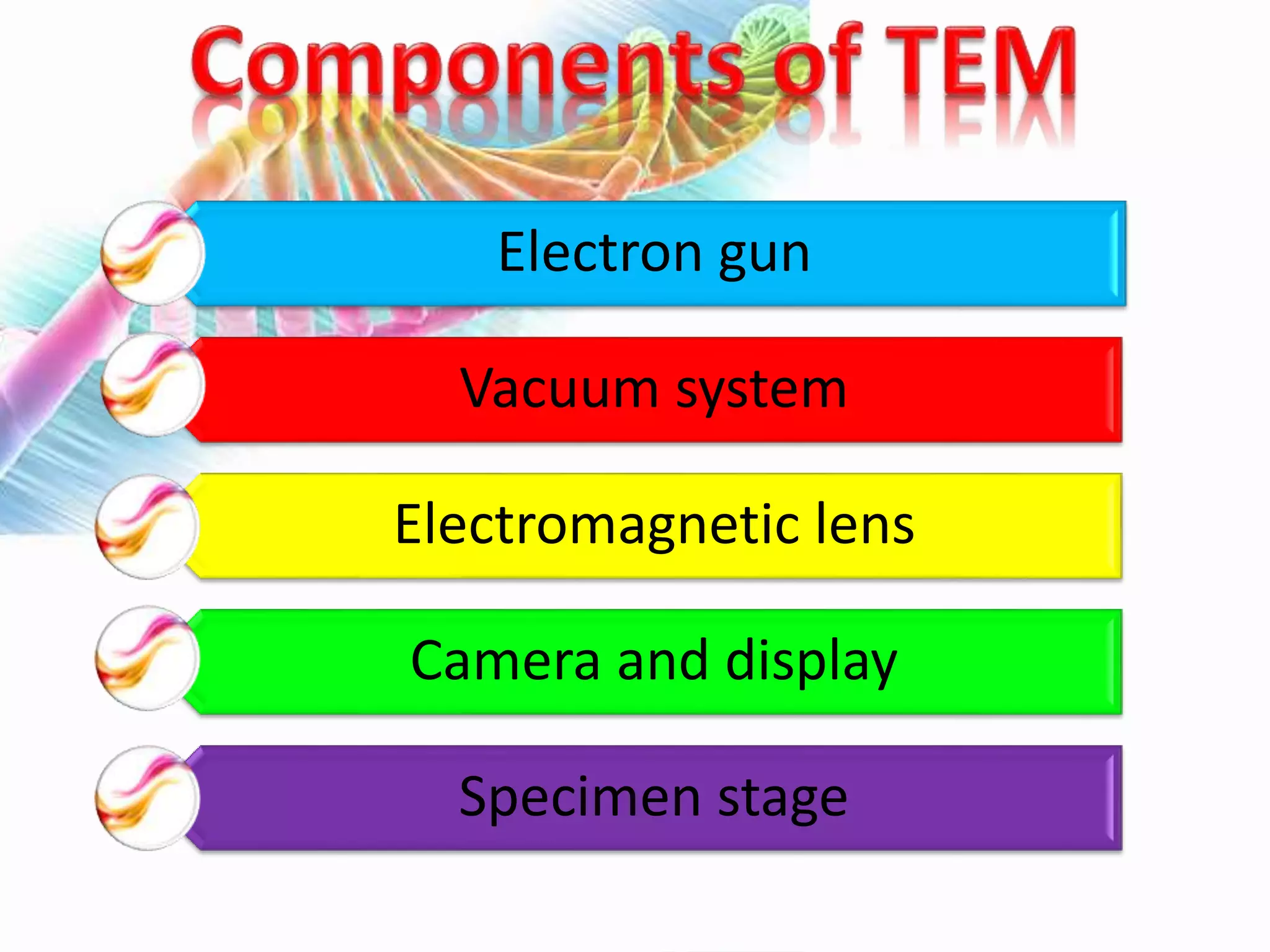 Electron gun
Vacuum system
Electromagnetic lens
Camera and display
Specimen stage
 