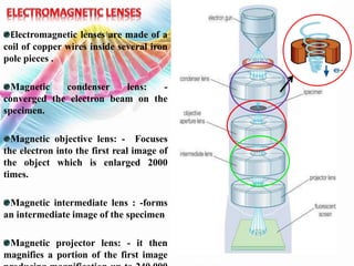 Electron microscope (TEM & SEM) | PPTX