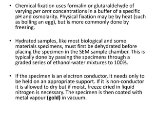 Electron microscope (TEM & SEM) | PPTX