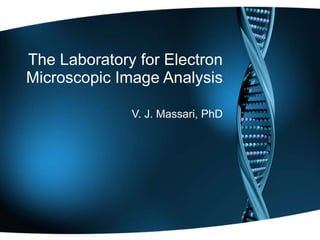 The Laboratory for Electron Microscopic Image Analysis V. J. Massari, PhD 