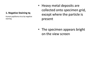 • Heavy metal deposits are
                                      collected onto specimen grid,
1. Negative Staining tq
Human papilloma virus by negative
                                      except where the particle is
staining                              present

                                    • The specimen appears bright
                                      on the view screen
 