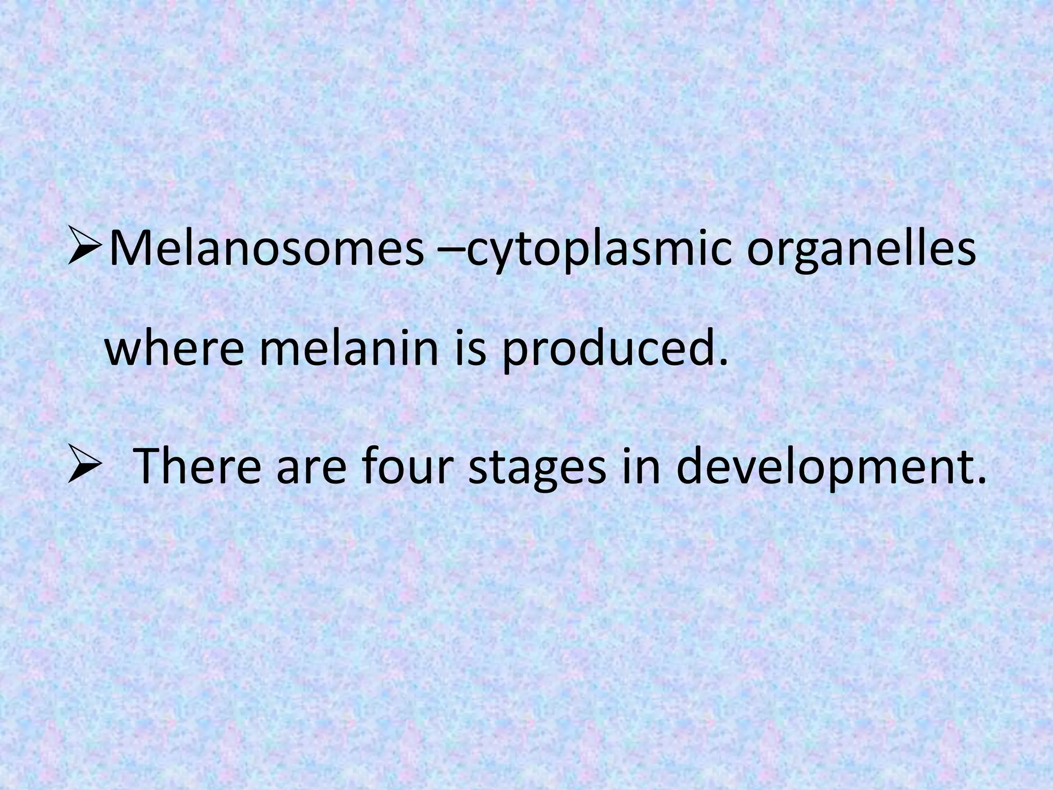 Melanosomes –cytoplasmic organelles
 where melanin is produced.

 There are four stages in development.
 