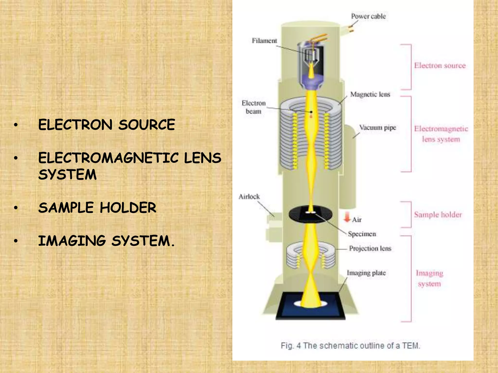•   ELECTRON SOURCE

•   ELECTROMAGNETIC LENS
    SYSTEM

•   SAMPLE HOLDER

•   IMAGING SYSTEM.
 