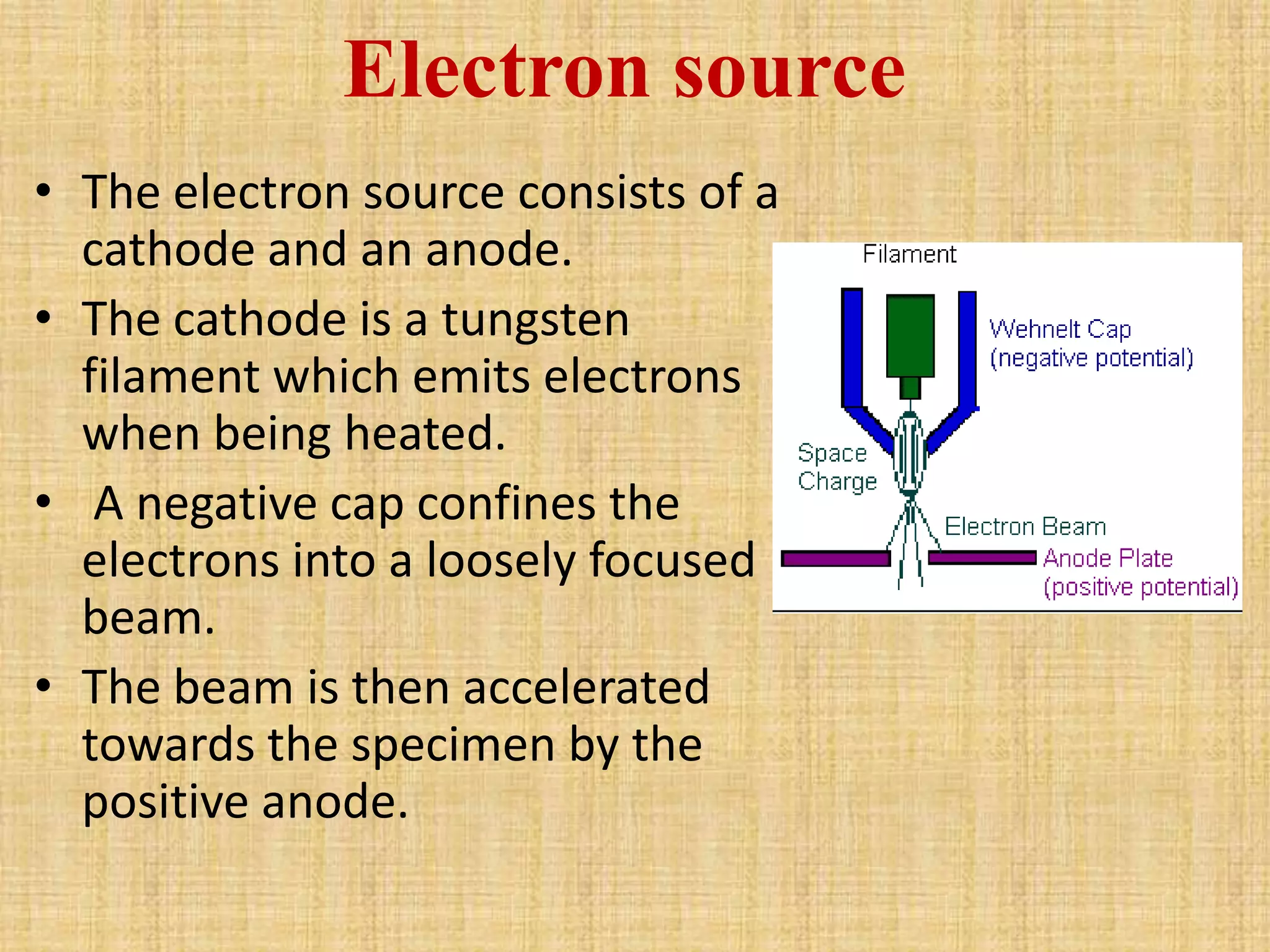 Electron source
• The electron source consists of a
  cathode and an anode.
• The cathode is a tungsten
  filament which emits electrons
  when being heated.
• A negative cap confines the
  electrons into a loosely focused
  beam.
• The beam is then accelerated
  towards the specimen by the
  positive anode.
 